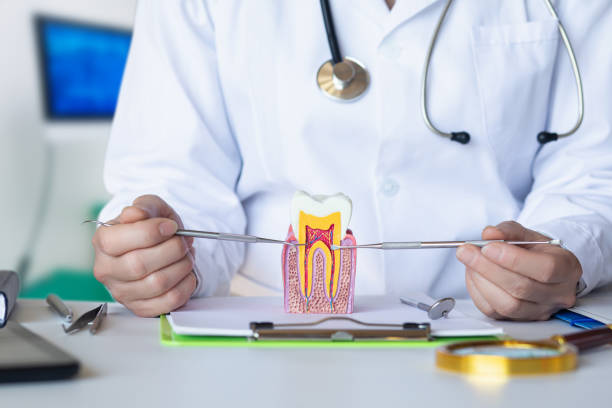 Best Urgent Dental Care for Toothaches in Piperton, TN
